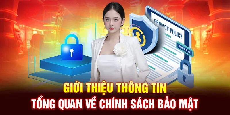 Giới Thiệu Thông Tin Tổng Quan Về Chính Sách Bảo Mật Nohu90